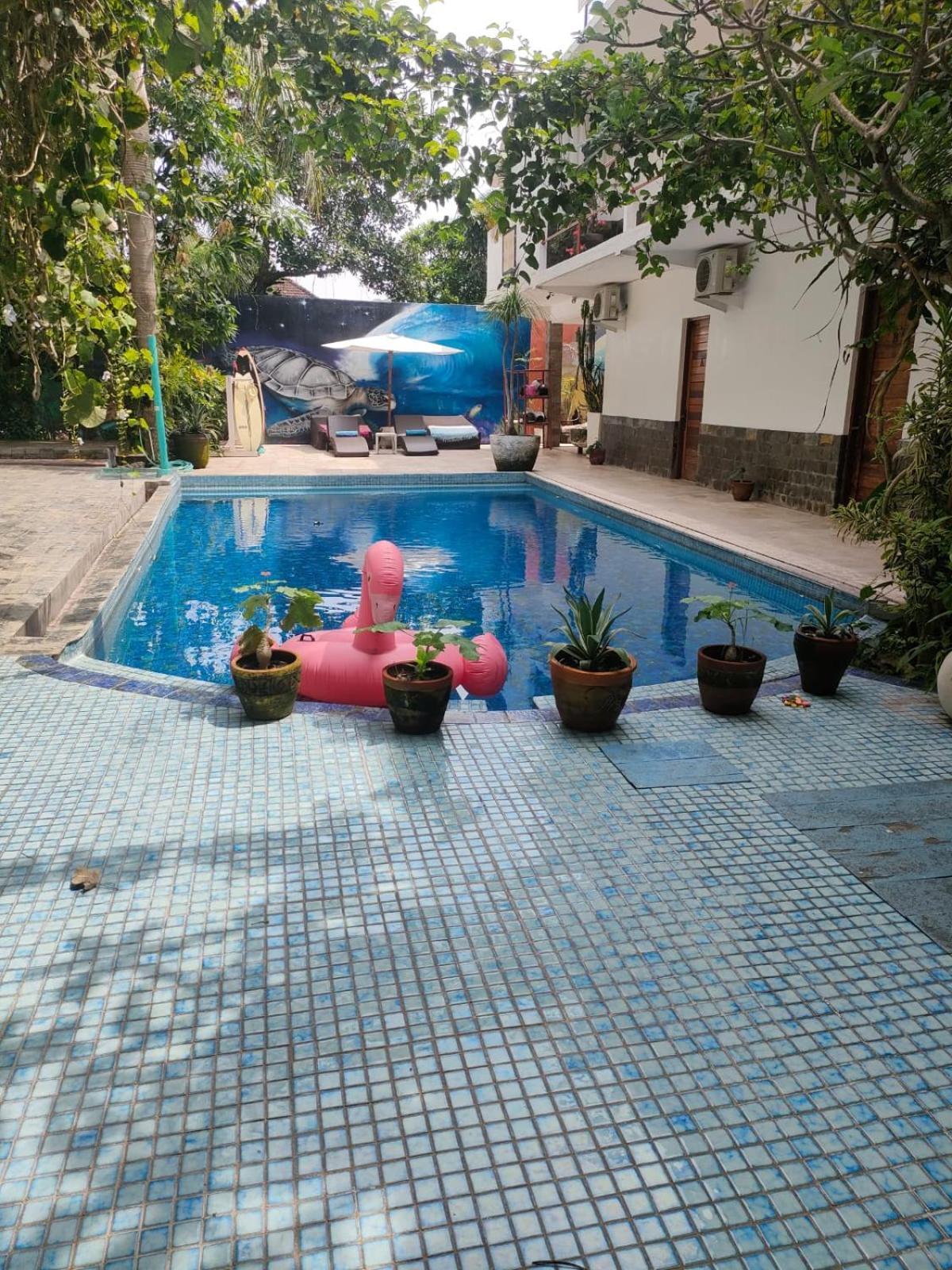 Villa Lotus 8 Canggu Extérieur photo