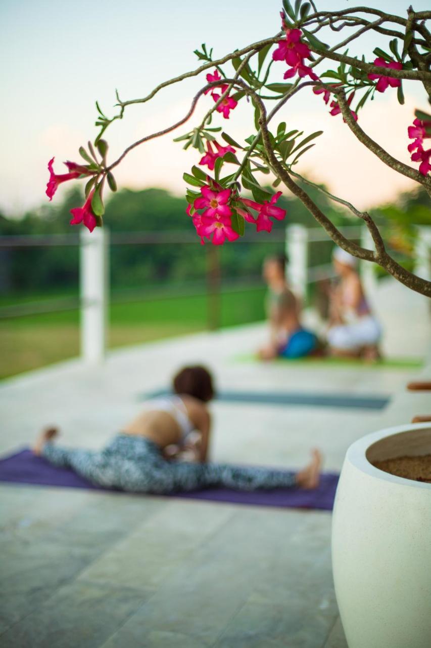 Villa Lotus 8 Canggu Extérieur photo